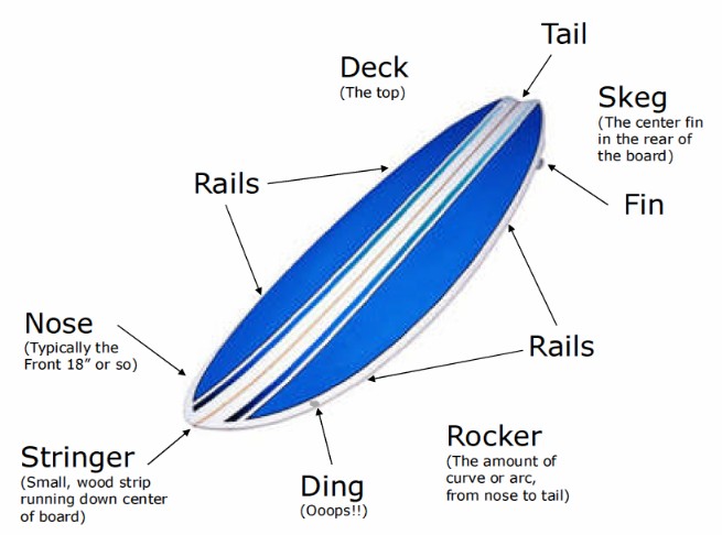 Anatomie eines Surfbretts