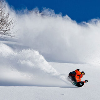 Snowboarding Japan Powder Surfing